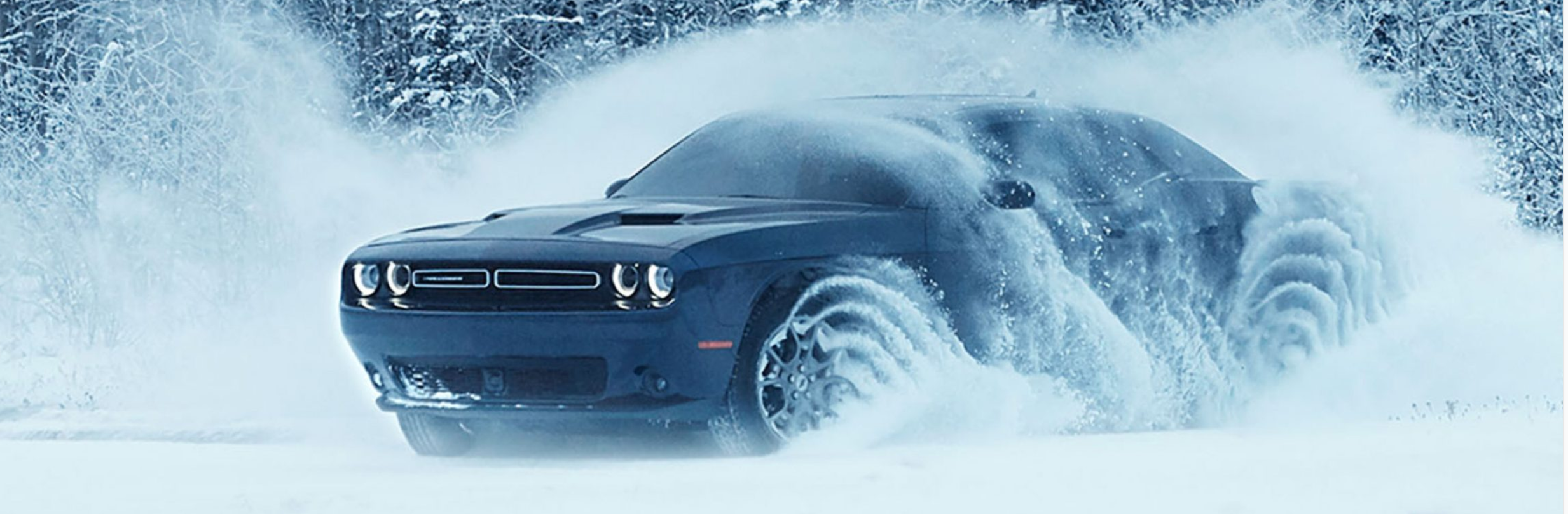 Dodge Snow